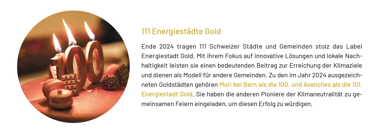 Jahresbericht 2024 