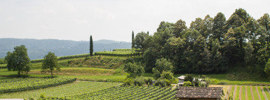 Nachhaltigkeitsbericht von Castel San Pietro