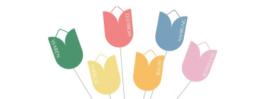 Klimaverträglicher Konsum