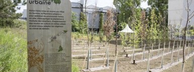 Vivai urbani, laboratori di acclimatazione