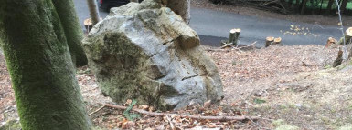 Exploitation durable du bois à Montreux