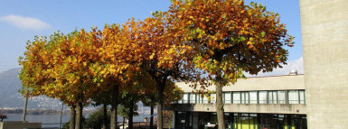 Pianifica per il futuro