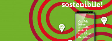 A Bellinzona nasce una Bellidea