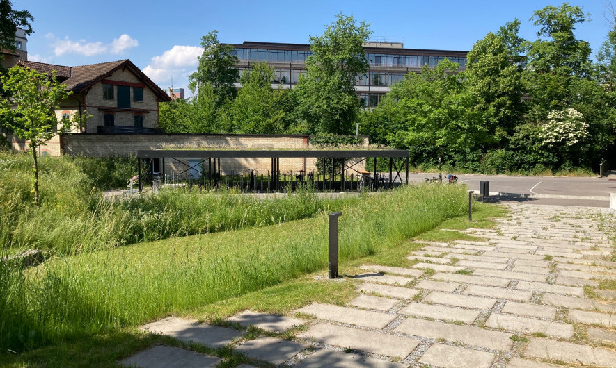 Un buon esempio è la scuola cantonale di Büelrain: prati estesi, sentieri che possono essere infiltrati e una pensilina verde per le biciclette.